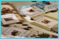 A Journey Of Flavors And Cultures